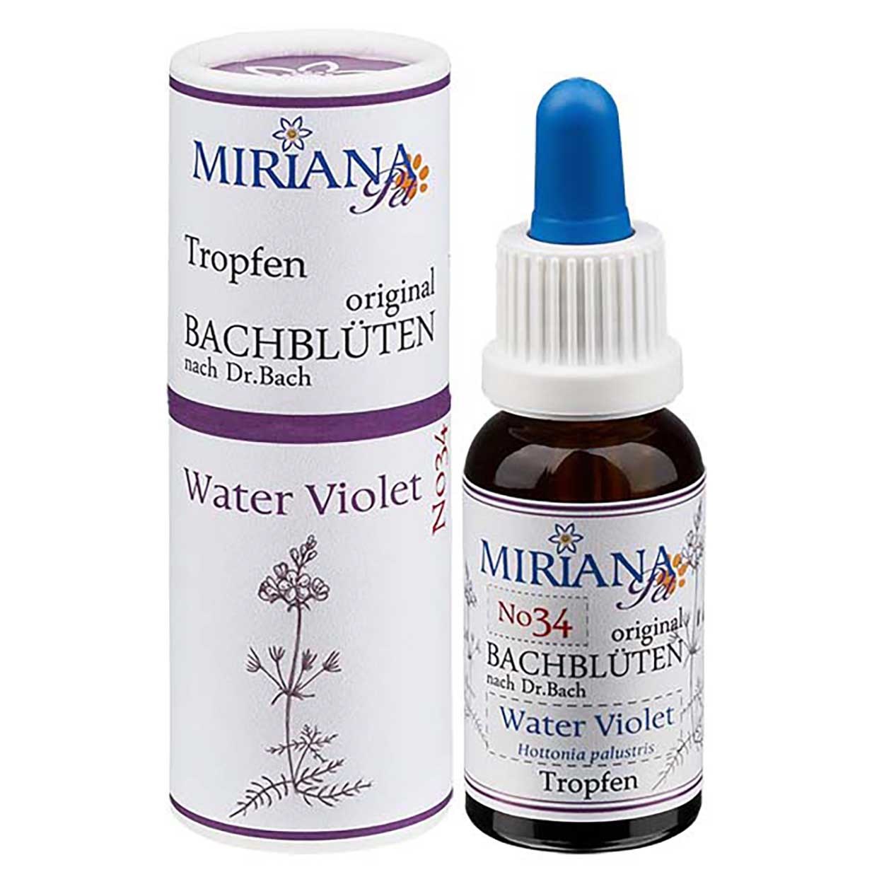Bachblüten 34 Water Violet 20ml