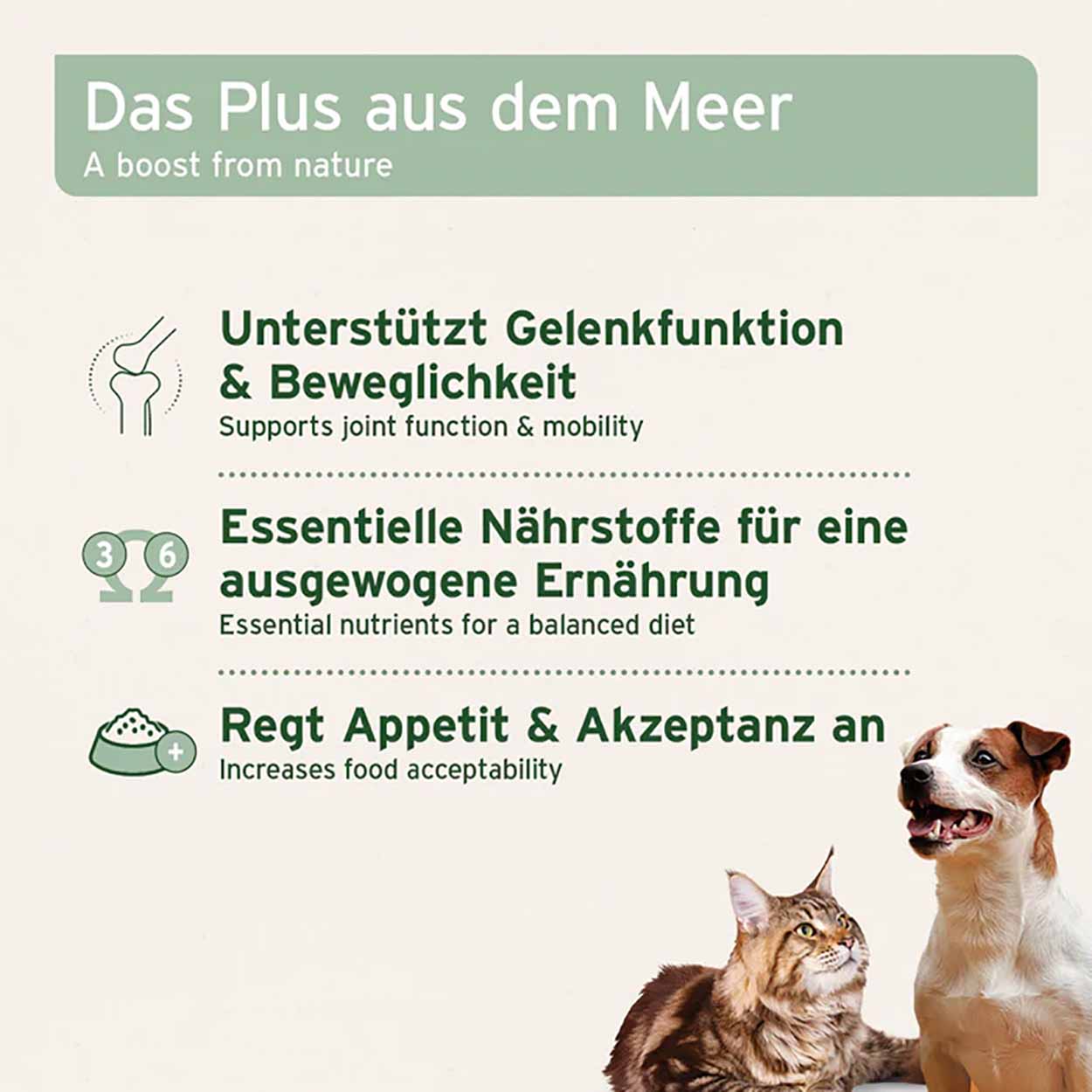 AniForte Muschelkraft 250g