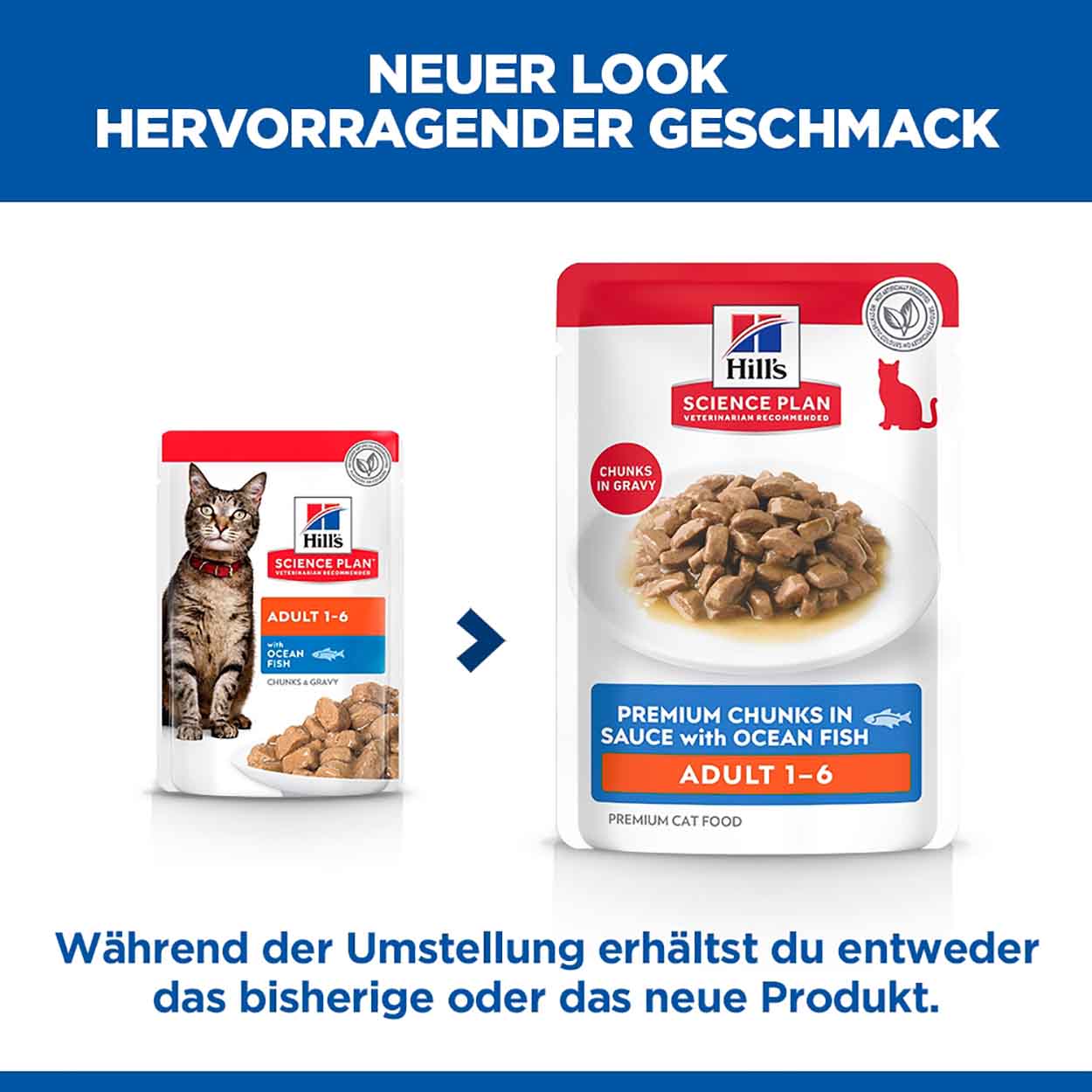 Hills Science Plan Katze Adult Seefisch 12x85g
