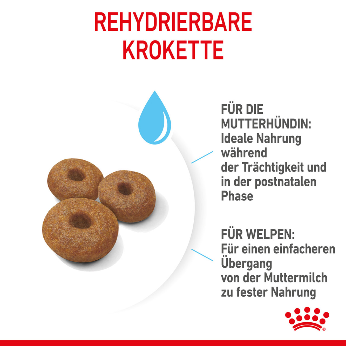 Royal Canin Hund Maxi Starter 15kg