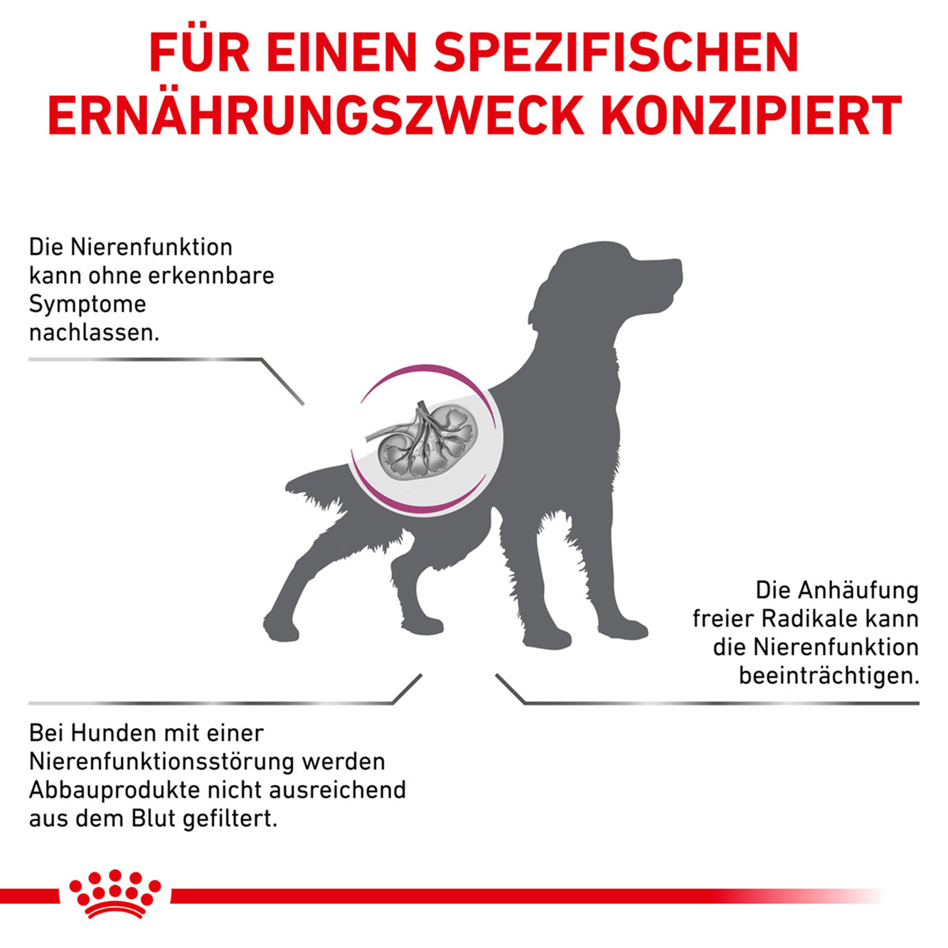 Royal Canin Hund Early Renal 14kg
