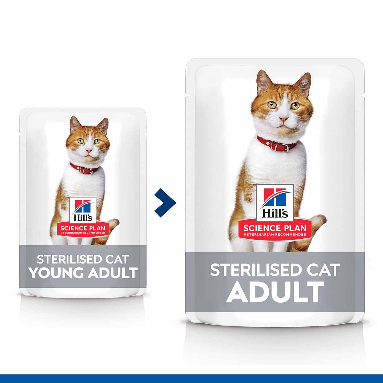 Hills Science Plan Katze Sterilised Cat Adult Multipack Lachs Huhn 4x12x85g