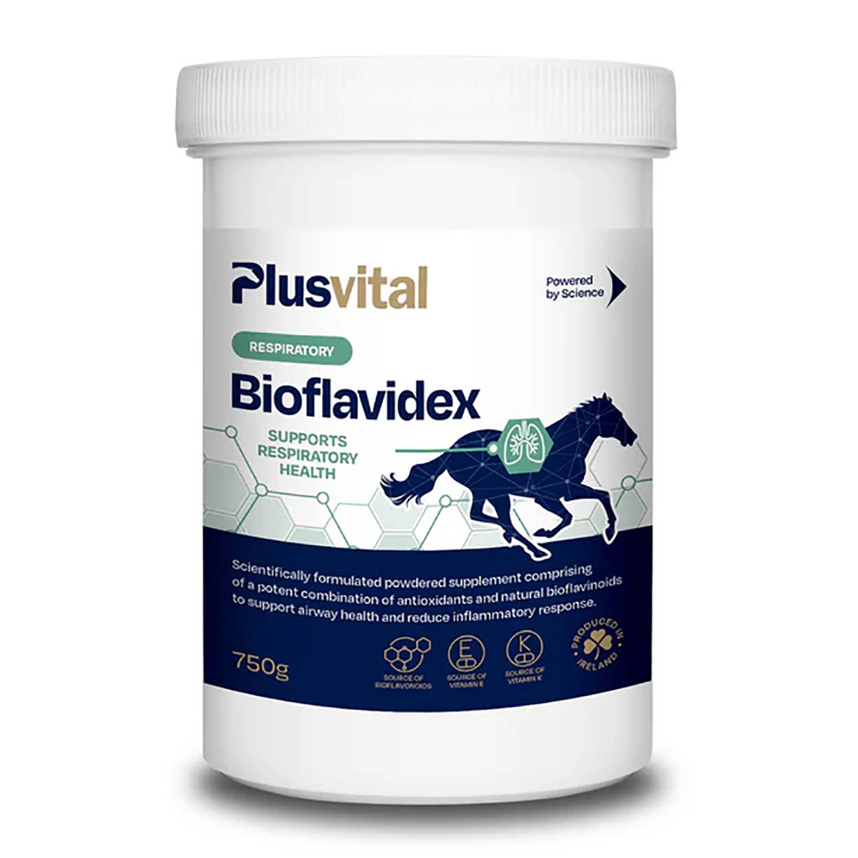 Plusvital BioFlavidex 750g