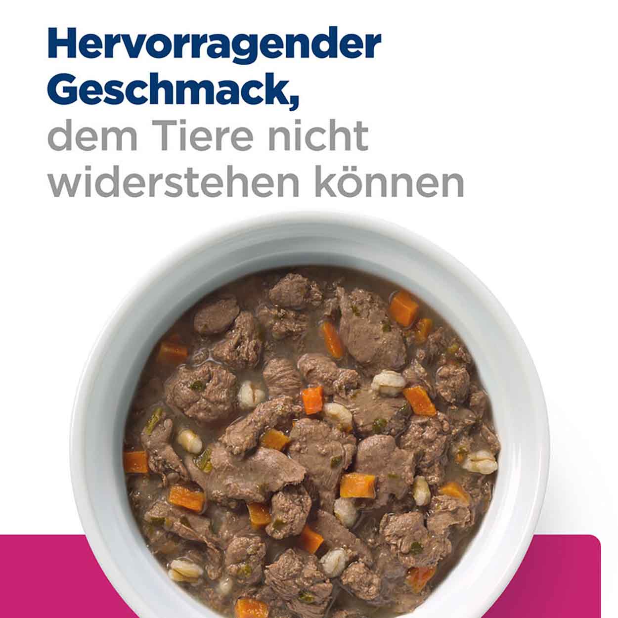 Hills Feline Gastrointestinal Biome Stress Ragout Huhn 24x82g