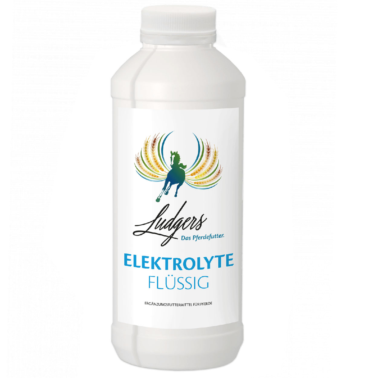 Ludgers Elektrolyte 1l