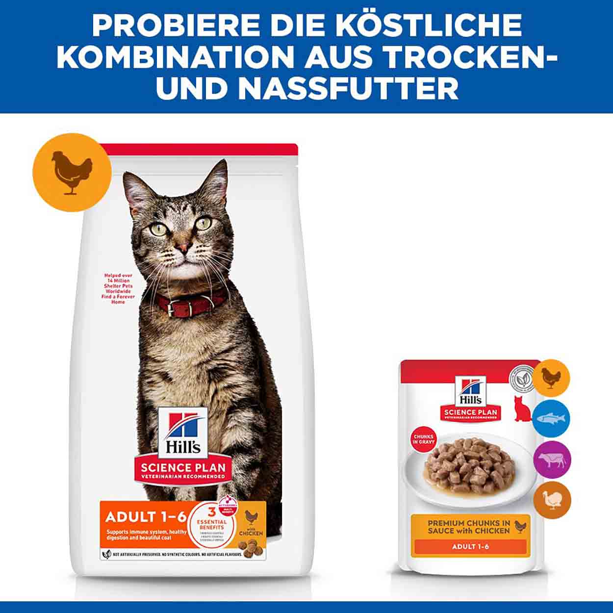 Hills Science Plan Katze Adult Huhn 10kg