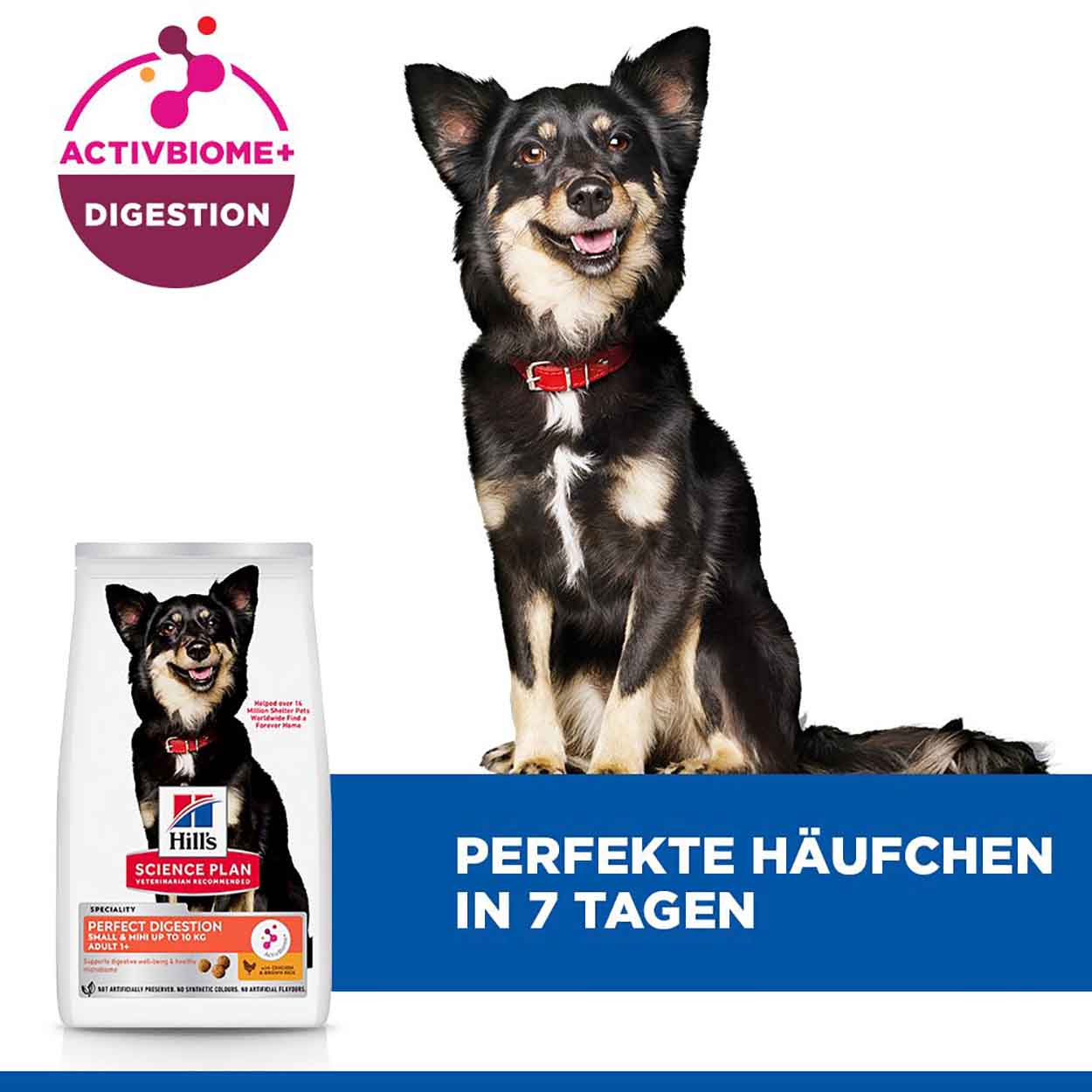Hills Science Plan Hund Perfect Digestion Small & Mini Adult Huhn 3kg