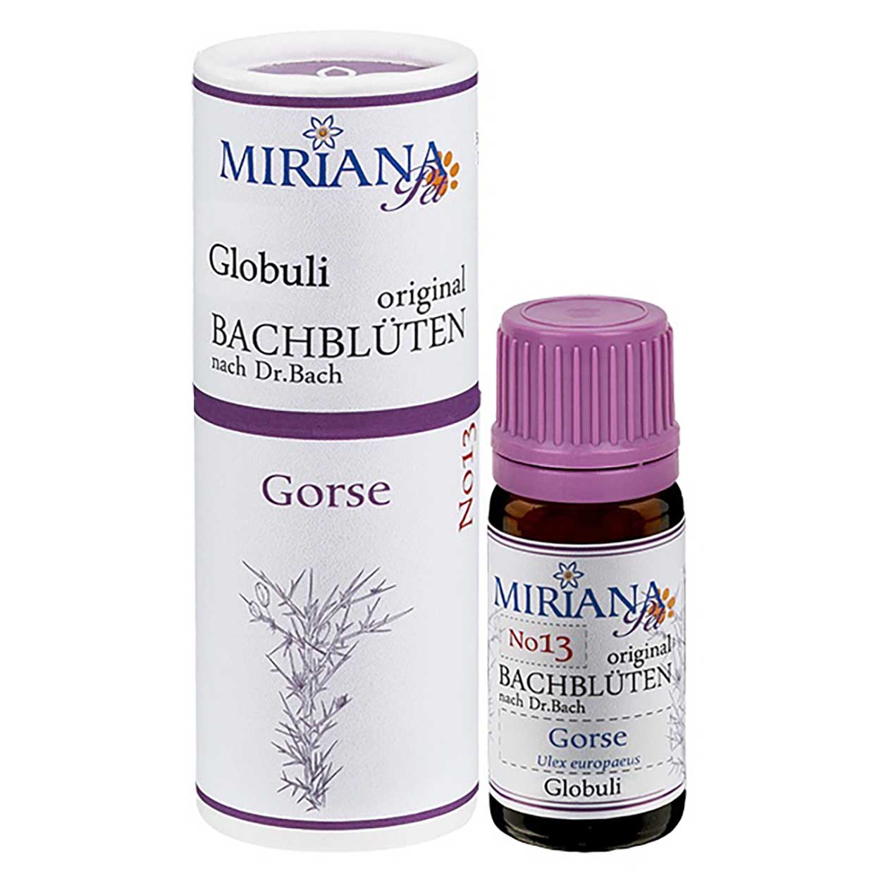 Bachblüten 13 Gorse Globuli 10g