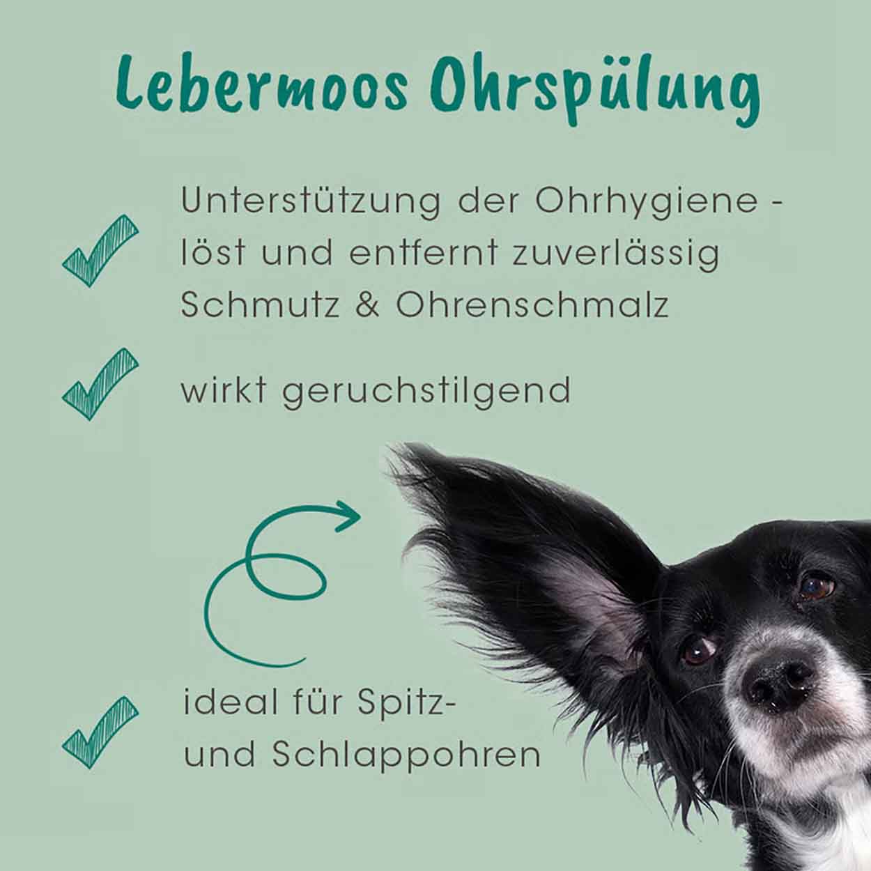 cdVet VeaVet Lebermoos Ohrspülung 100ml