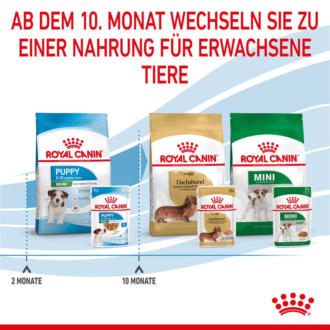 Royal Canin Hund Mini Puppy 12x85g