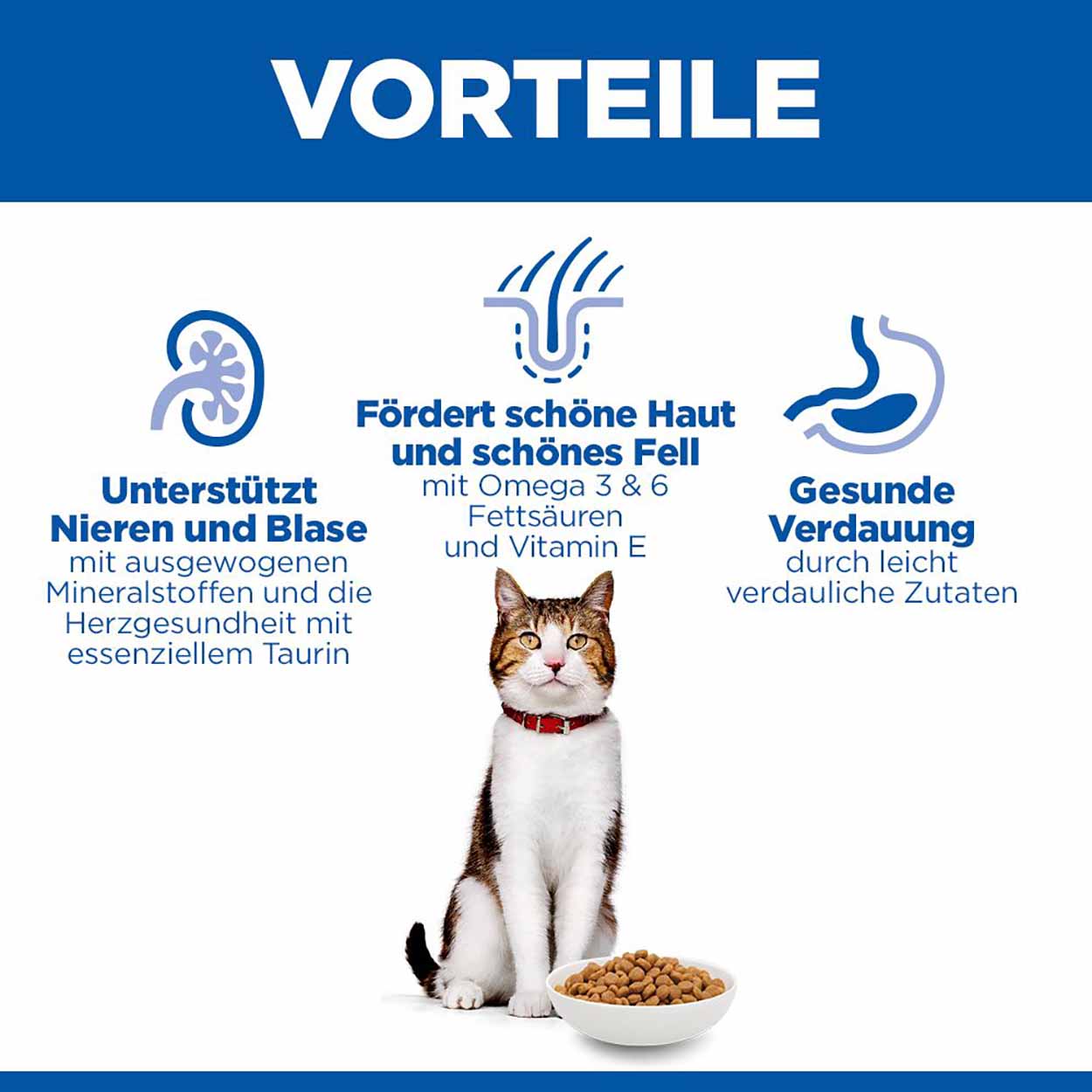 Hills Science Plan Katze Mature Adult 7+ Lachs 10kg