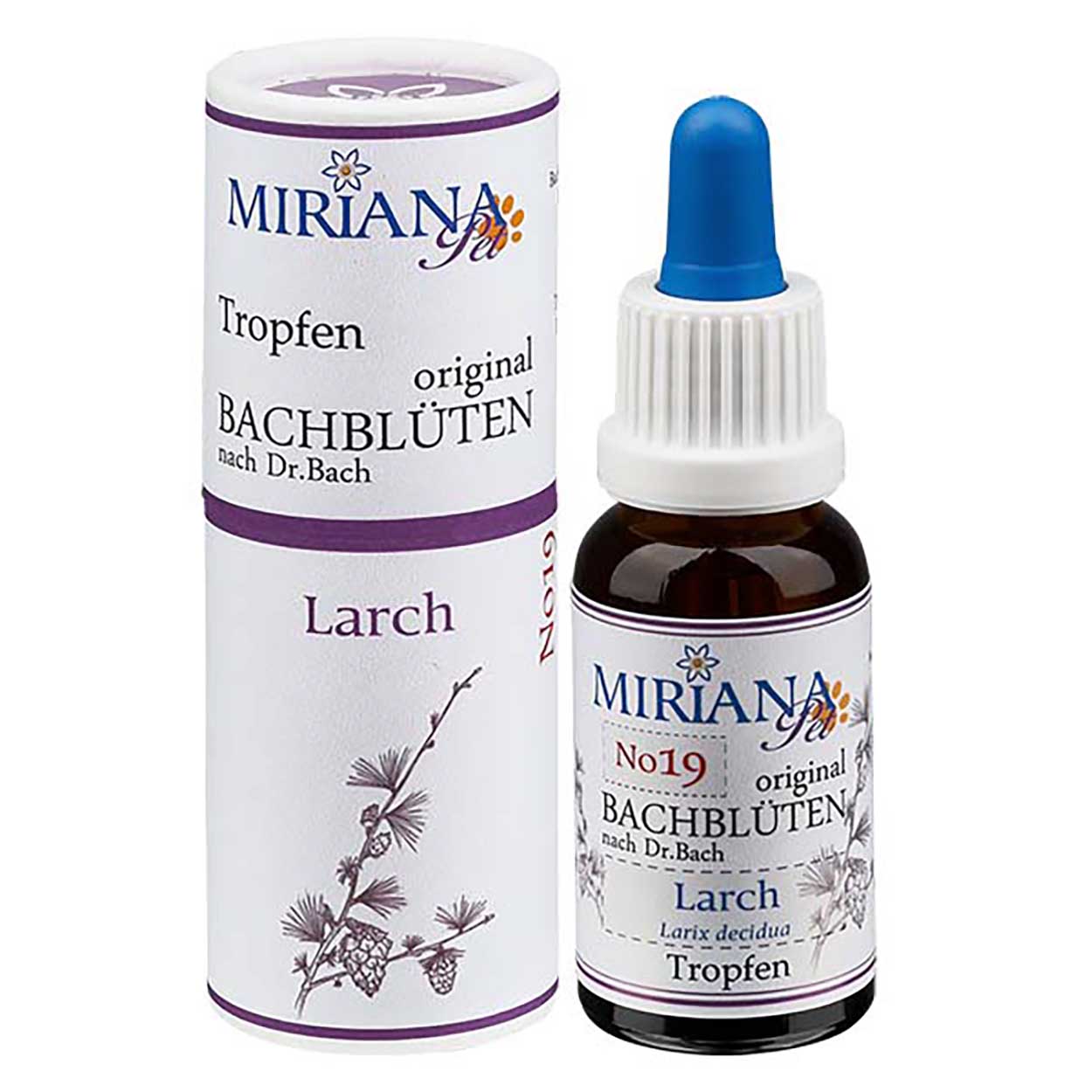 Bachblüten 19 Larch 20ml