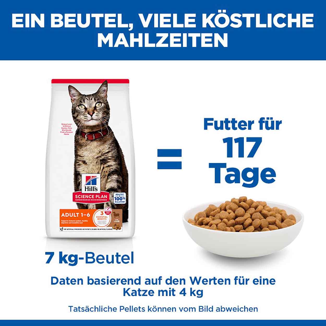 Hills Science Plan Katze Adult Lamm & Reis 3kg