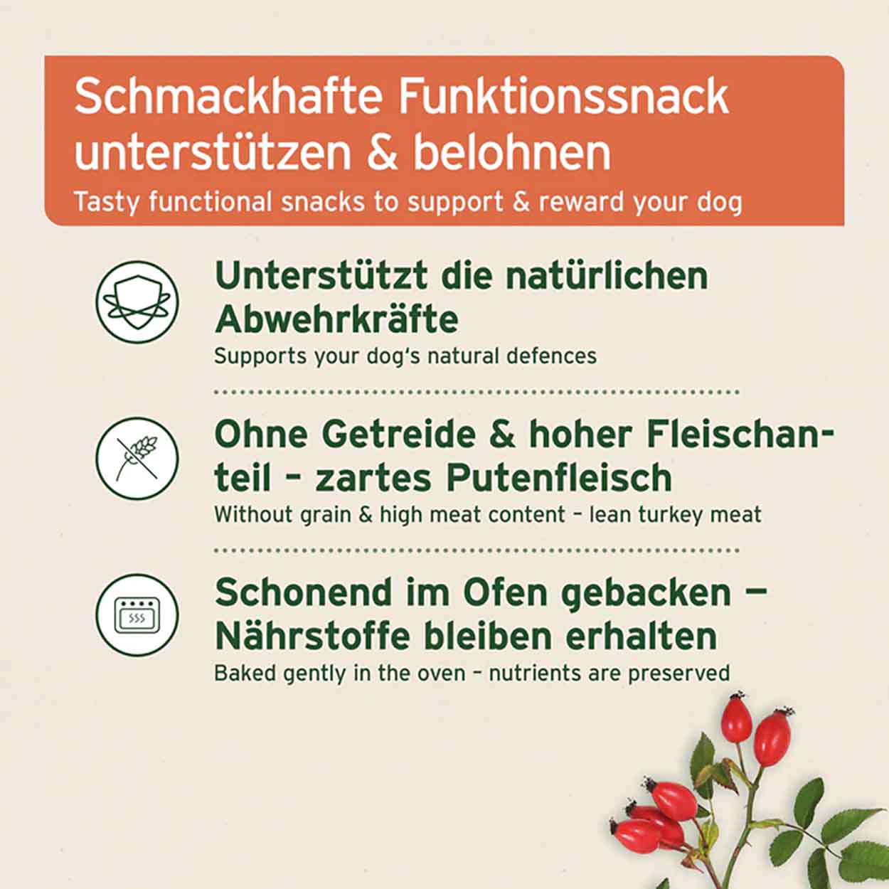 AniForte Immun-Boost Snack 300g