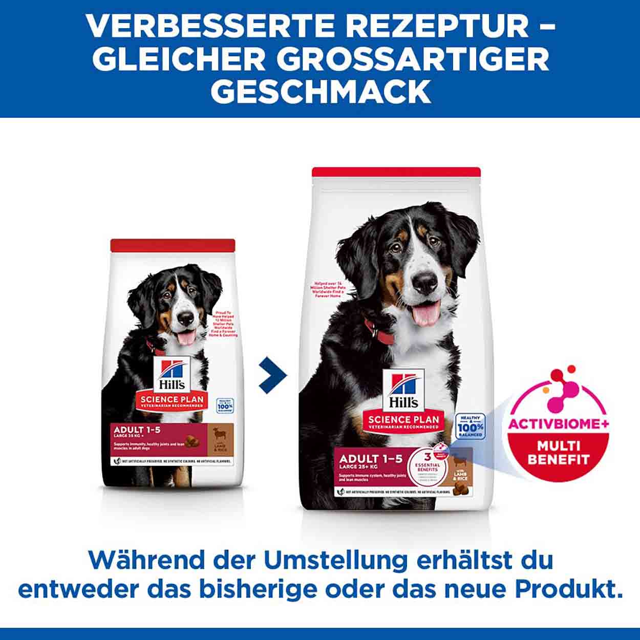 Hills Science Plan Hund Large Breed Adult Lamm & Reis 14kg