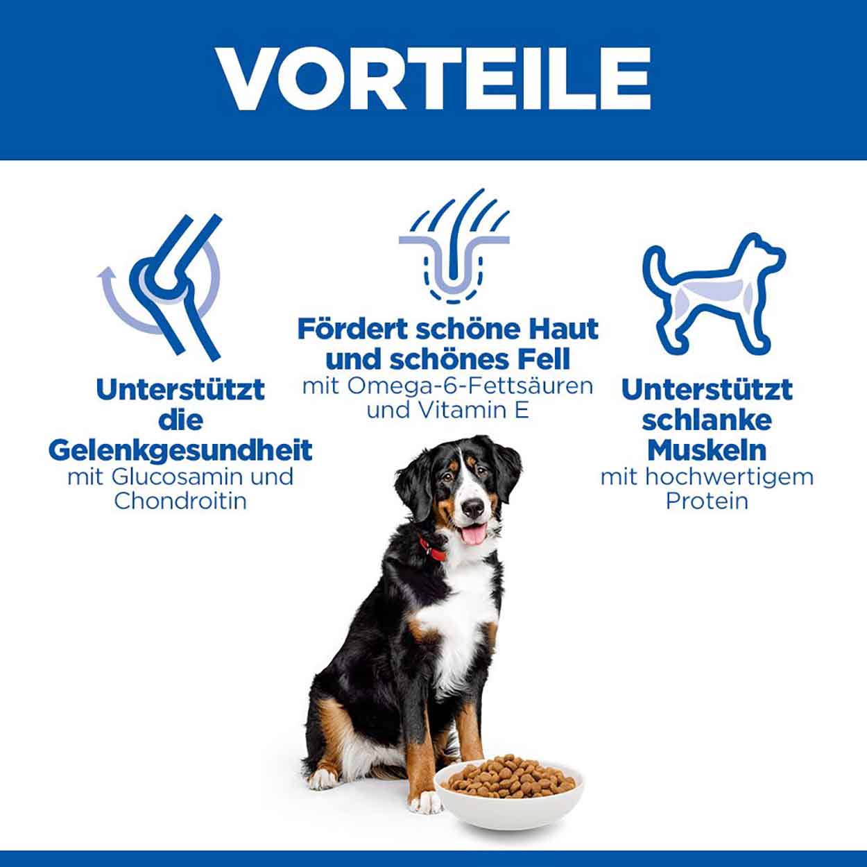 Hills Science Plan Hund  Large Breed Adult Huhn 14kg