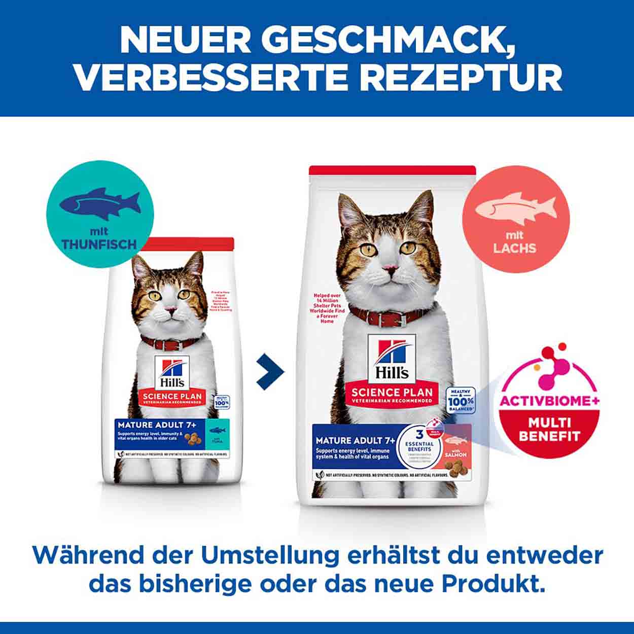 Hills Science Plan Katze Mature Adult 7+ Lachs 10kg