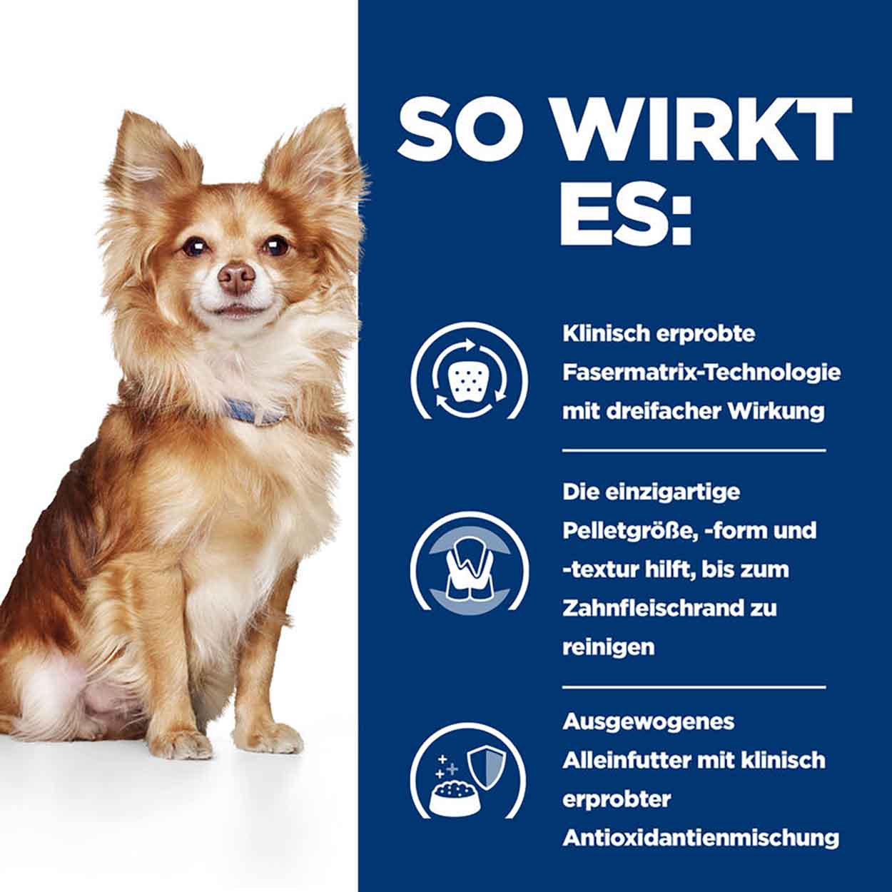 Hills Canine t/d Mini 3kg