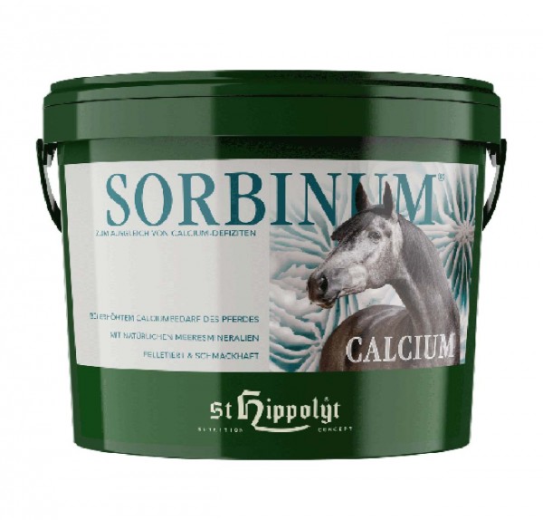 Sorbinum Calcium 10kg