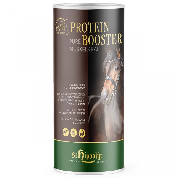 WES Protein Booster 750g