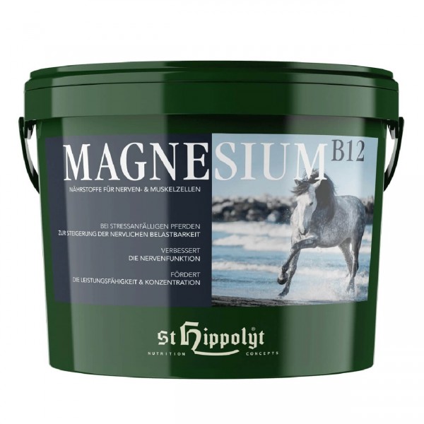 Magnesium B12 2,5kg