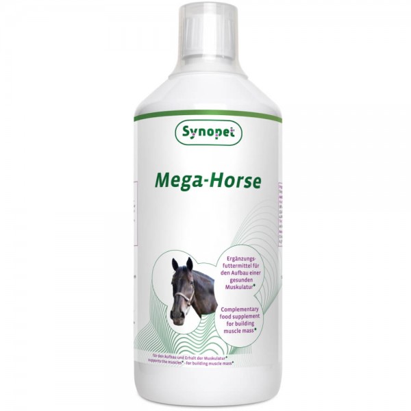 Mega Horse