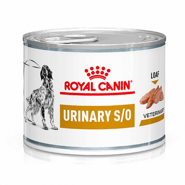 Royal Canin Hund Urinary S/O Mousse 12x200g