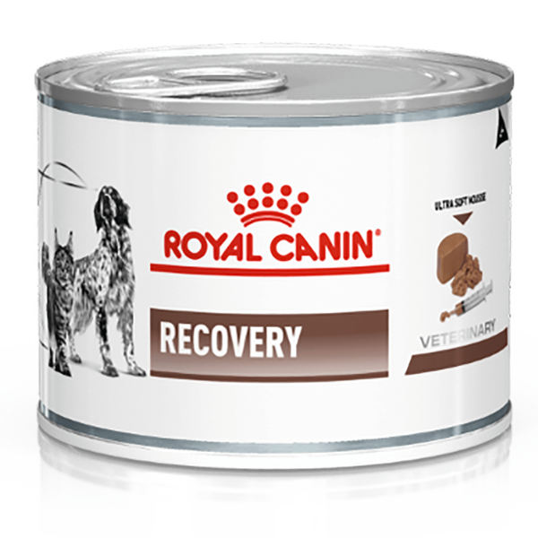 Royal Canin Recovery Hund + Katze feucht