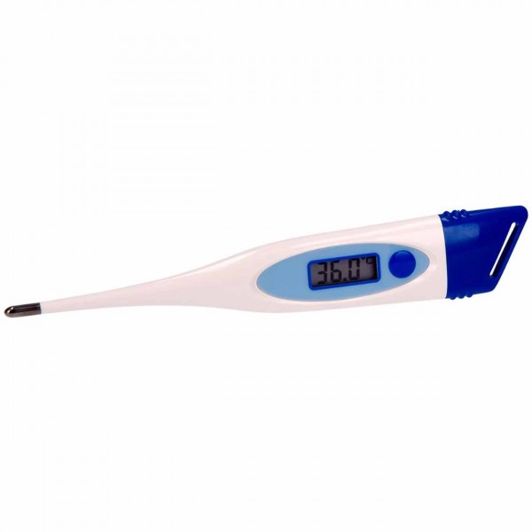 Großtier Thermometer