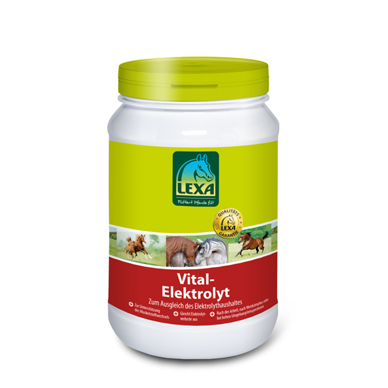 Lexa Vital Elektrolyt zur Regeneration nach Anstrengung, Elektrolyte