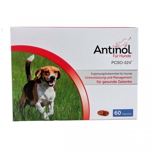 Antinol Hund 60 Kaps