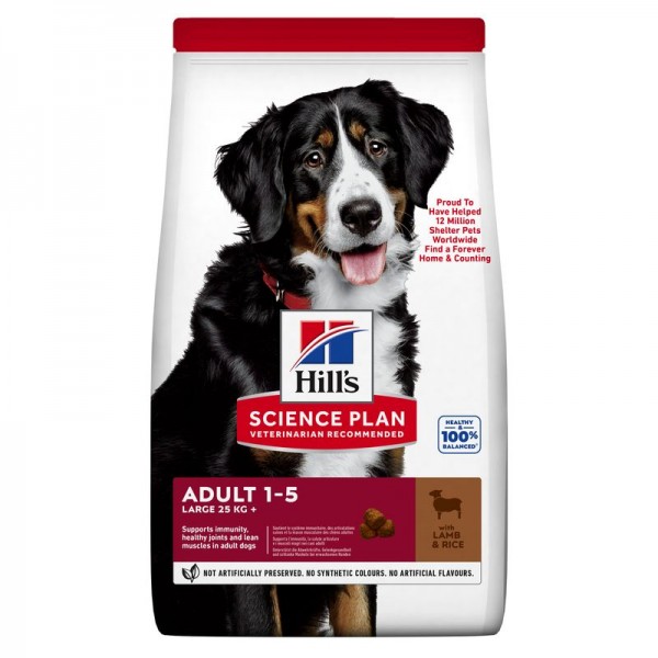 Hills Science Plan Hund Large Breed Adult Lamm & Reis 14kg