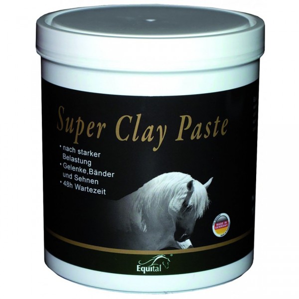 Equital Super Clay Paste 1kg