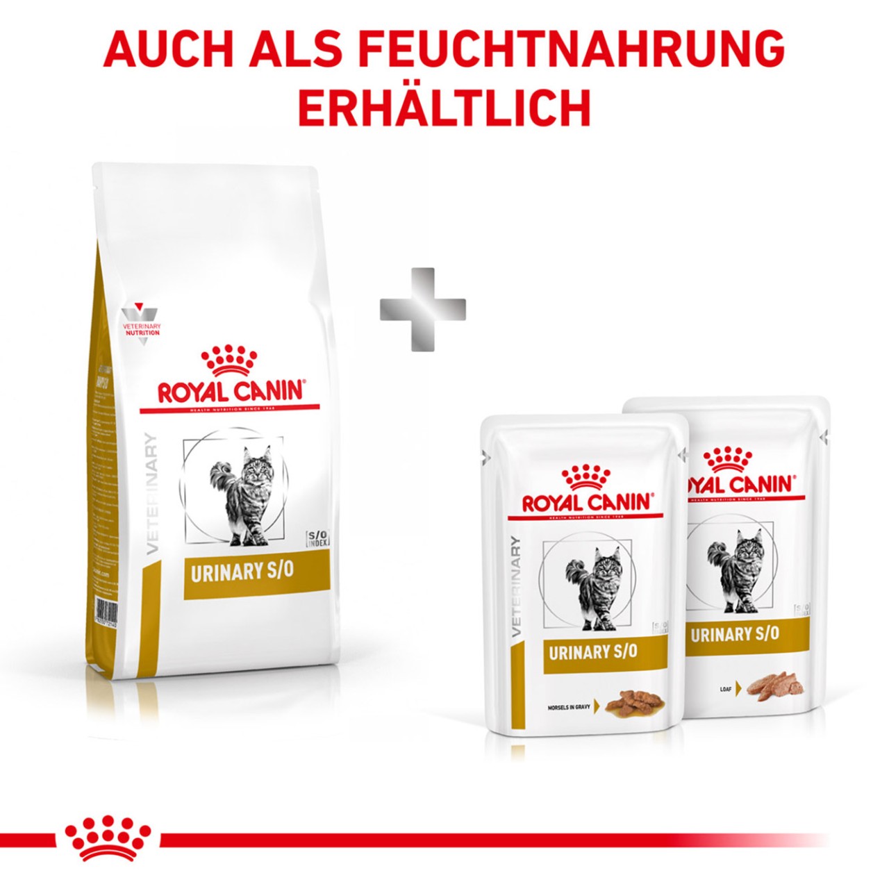Luxus Royal Canin Katze Ebenbild